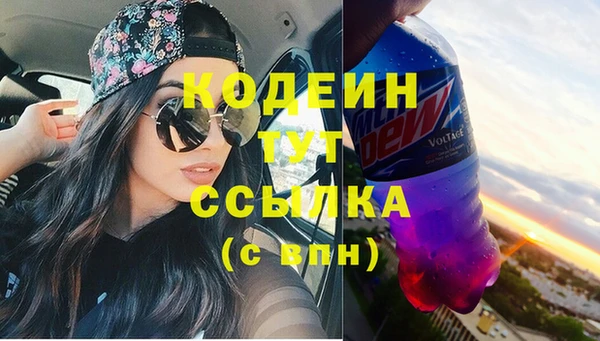 МДПВ Тайга