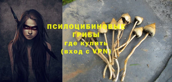 спайс Очёр