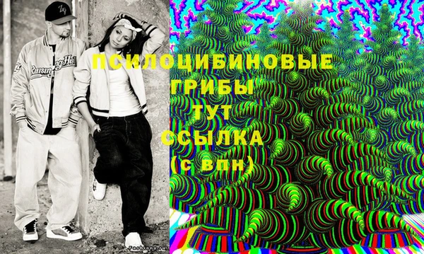 МДПВ Тайга